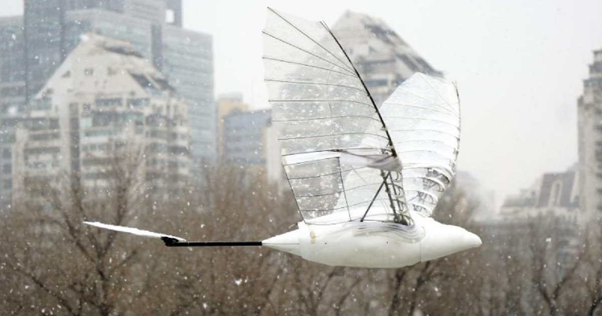 Un pájaro no tripulado chino batió el récord mundial de tiempo de vuelo: pasó más de 1,5 horas en el aire Un pájaro no tripulado chino batió el récord mundial de tiempo de vuelo: pasó más de 1,5 horas en el aire