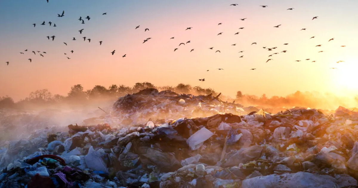 Un nuevo estudio revela las nefastas consecuencias de los vertederos para el clima Un nuevo estudio revela las nefastas consecuencias de los vertederos para el clima