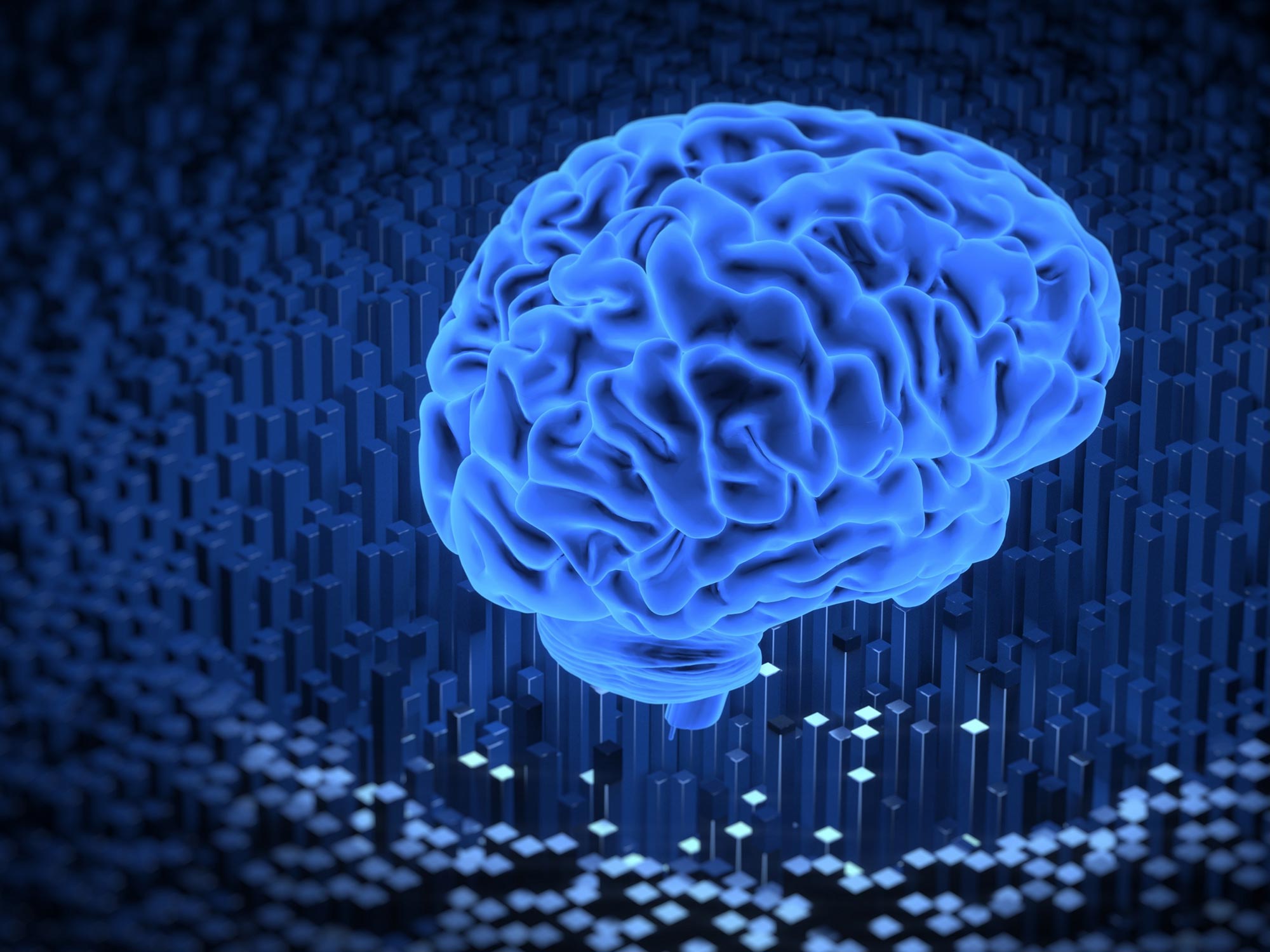 Cortical Labs creó un "minicerebro" humano DishBrain y lo entrenó para jugar al Pong Cortical Labs creó un "minicerebro" humano DishBrain y lo entrenó para jugar al Pong