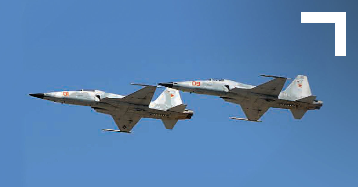 Un caza Northrop F-5 Tiger se estrelló en Turquía tras chocar con un pájaro Un caza Northrop F-5 Tiger se estrelló en Turquía tras chocar con un pájaro