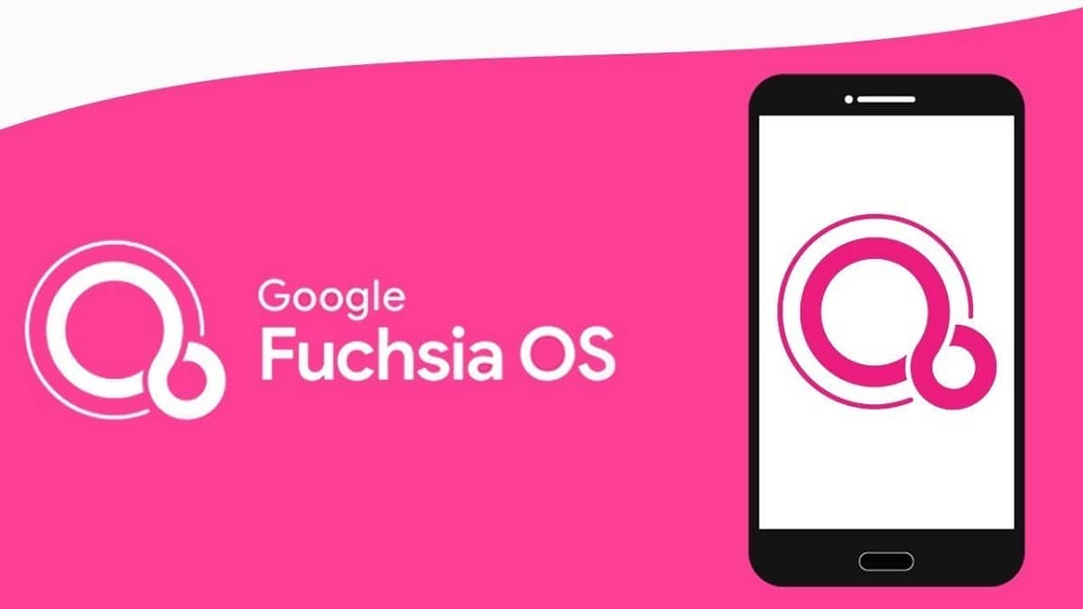 Dos informantes informaron que Samsung planea cambiar de Android a Fuchsia OS Dos informantes informaron que Samsung planea cambiar de Android a Fuchsia OS