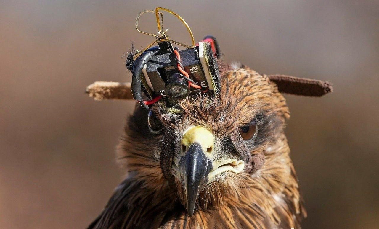 Soldados indios equiparon cometas con cámaras de 40 dólares de AliExpress para luchar contra los drones y espiar a los militares chinos Soldados indios equiparon cometas con cámaras de 40 dólares de AliExpress para luchar contra los drones y espiar a los militares chinos