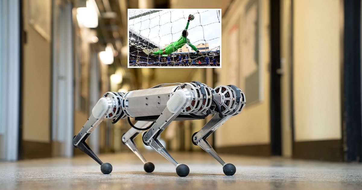 Mini Cheetah, un perro robot, se convirtió en portero de fútbol: defiende la portería con más eficacia que los porteros de la UPL Mini Cheetah, un perro robot, se convirtió en portero de fútbol: defiende la portería con más eficacia que los porteros de la UPL
