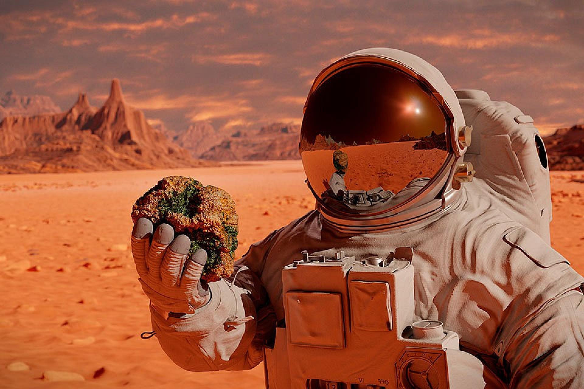 La NASA ha creado un programa que te permite escuchar cómo sonará tu voz en Marte La NASA ha creado un programa que te permite escuchar cómo sonará tu voz en Marte