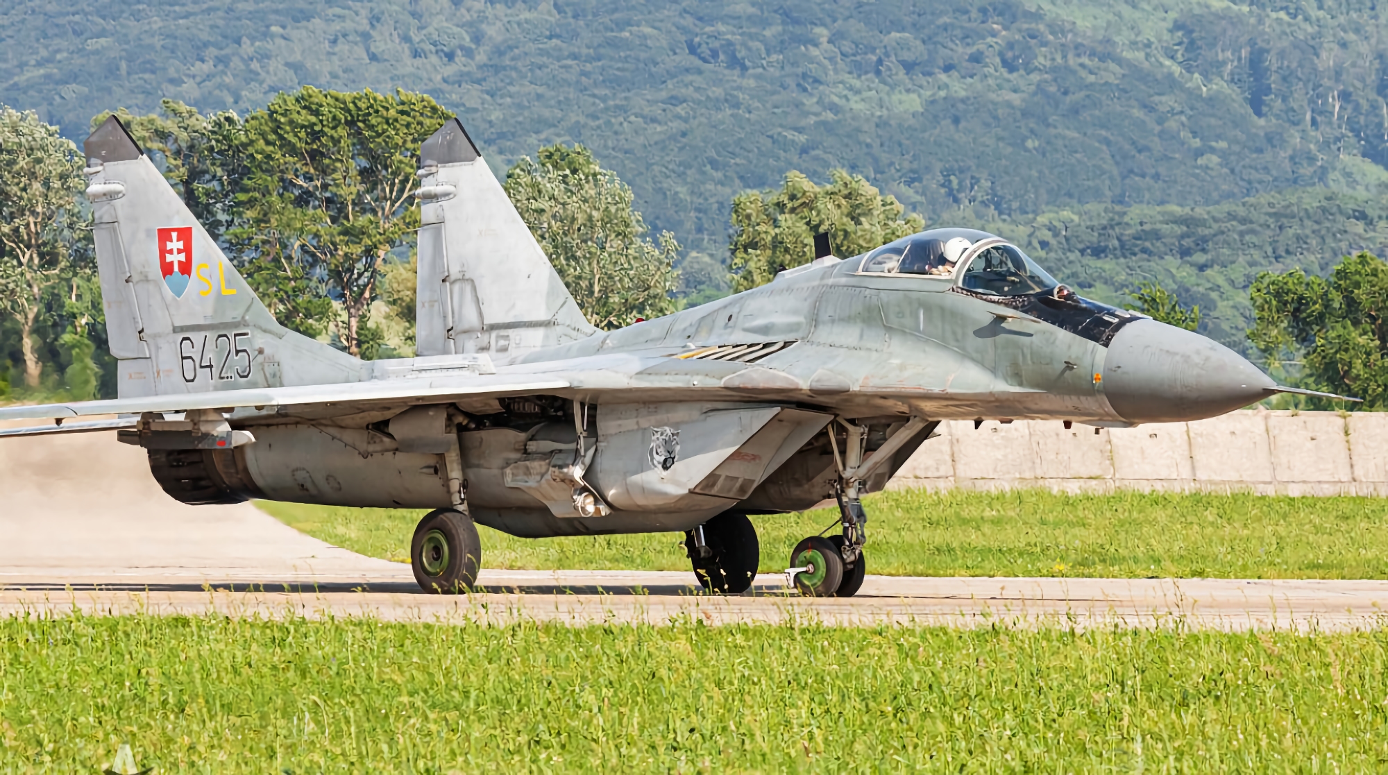 Eslovaquia entregará a Ucrania sus cazas MiG-29 en septiembre Eslovaquia entregará a Ucrania sus cazas MiG-29 en septiembre