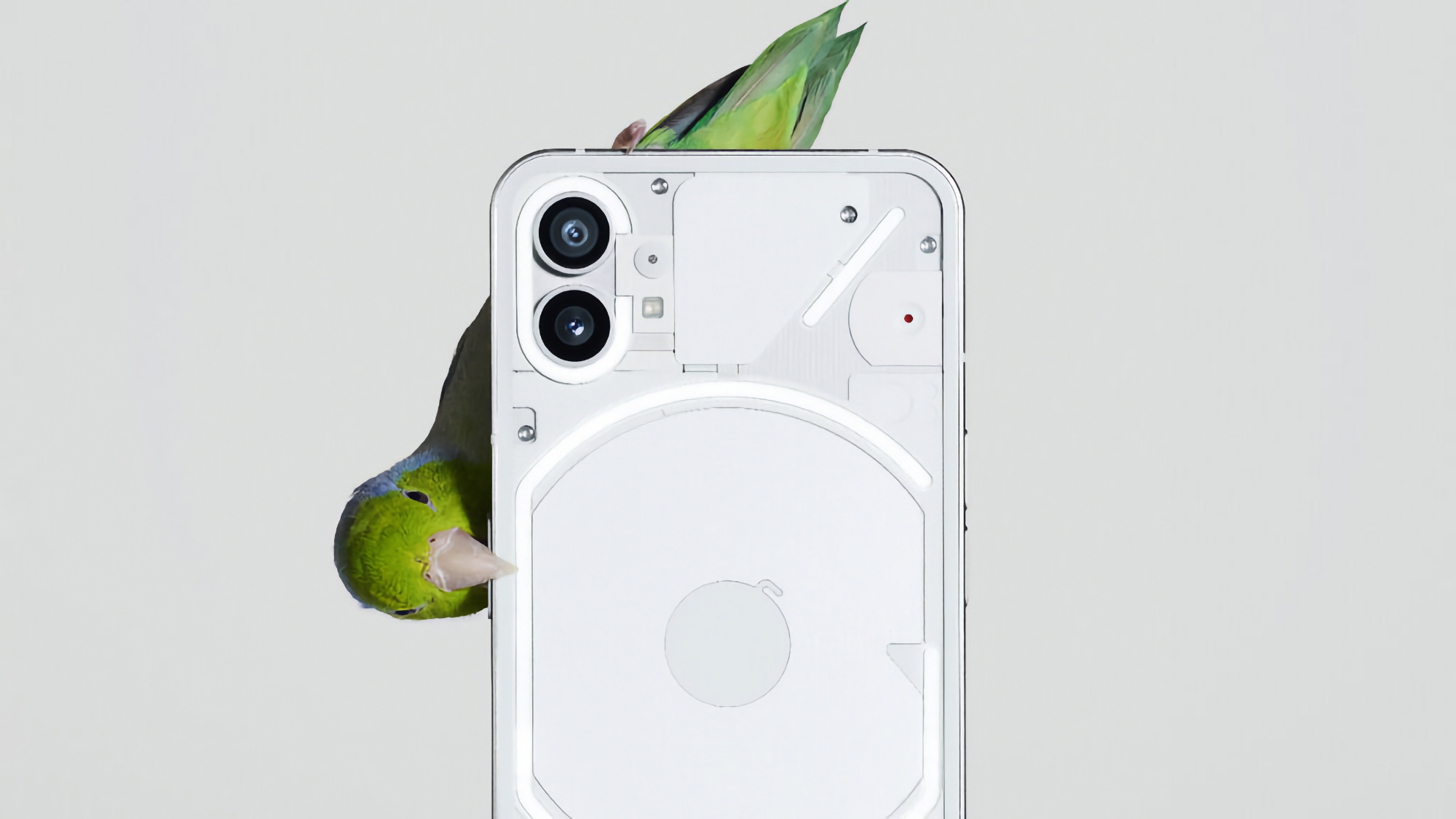 Una pantalla de 6,7 pulgadas y 3 años de actualizaciones de Android: Nuevos detalles sobre el Nothing Phone han aparecido en Internet (2) Una pantalla de 6,7 pulgadas y 3 años de actualizaciones de Android: Nuevos detalles sobre el Nothing Phone han aparecido en Internet (2)