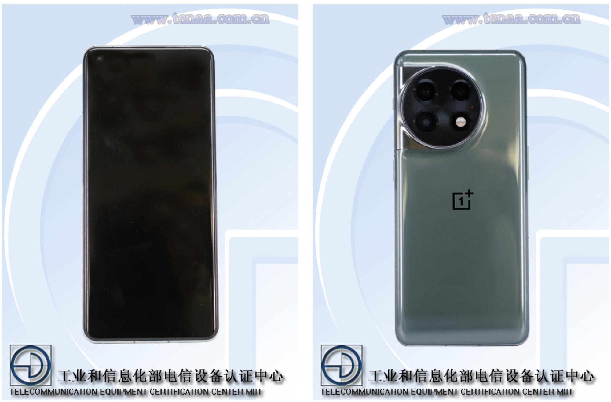 El OnePlus 11 aparece en fotos en directo: pantalla con bordes redondeados, triple cámara y color verde El OnePlus 11 aparece en fotos en directo: pantalla con bordes redondeados, triple cámara y color verde