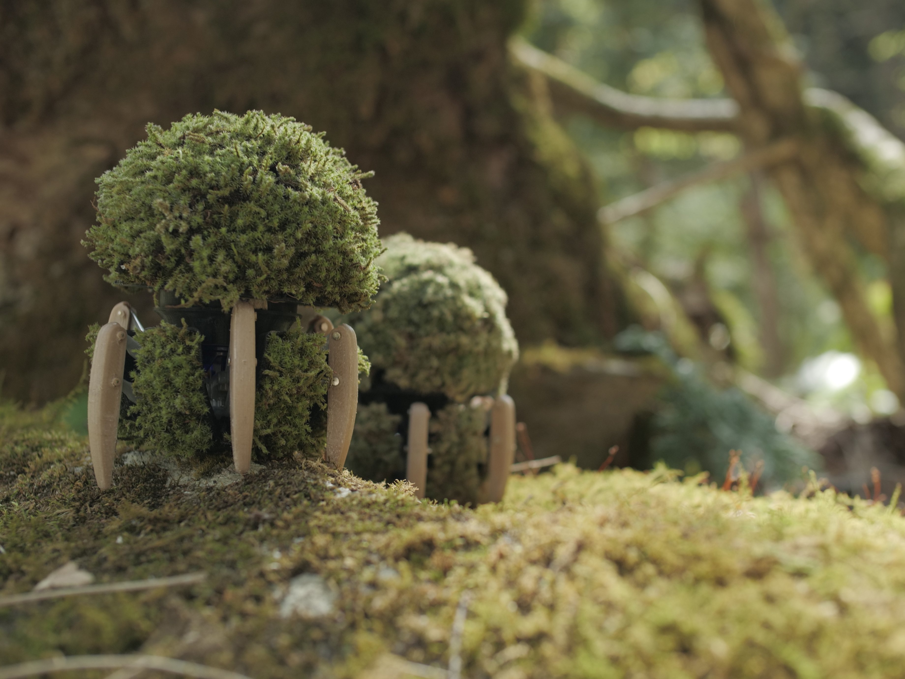 Orinal con patas: Panasonic presentó el eco-robot Umoz hecho de musgo, que se mueve por la casa en busca de condiciones cómodas