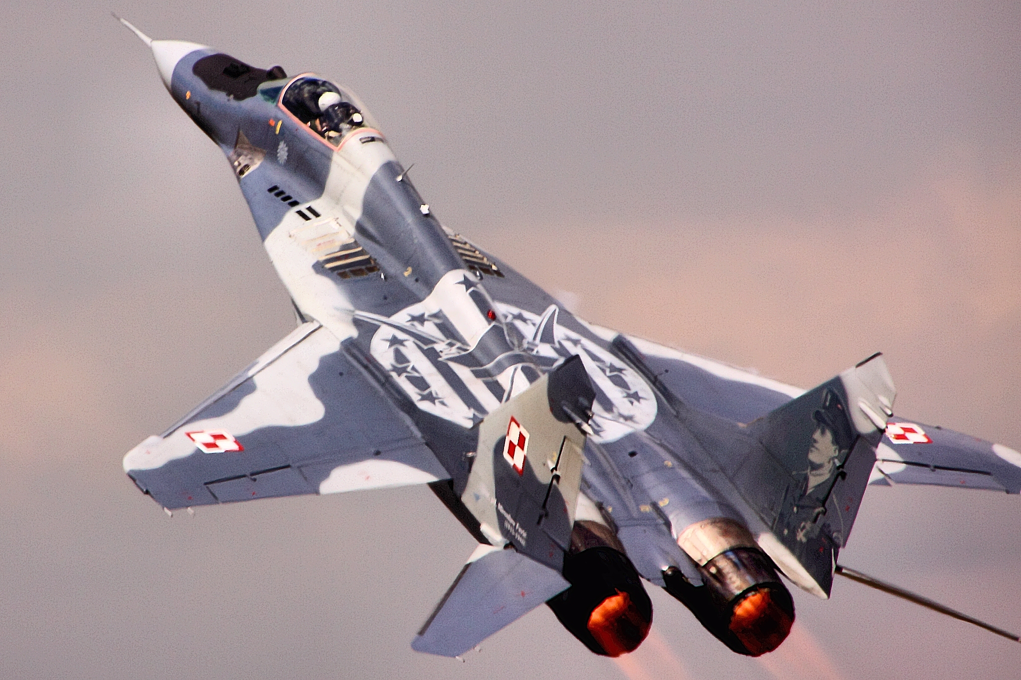 Polonia no entregará todos sus cazas MiG-29 a Ucrania Polonia no entregará todos sus cazas MiG-29 a Ucrania