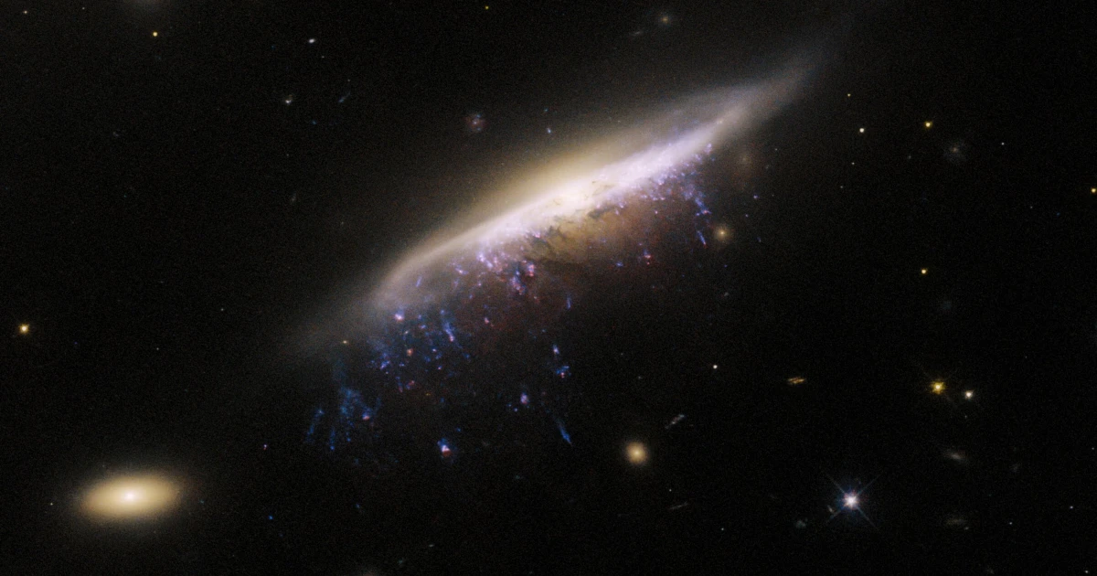 El Hubble ha fotografiado una medusa galáctica a 800 millones de años luz de la Tierra El Hubble ha fotografiado una medusa galáctica a 800 millones de años luz de la Tierra