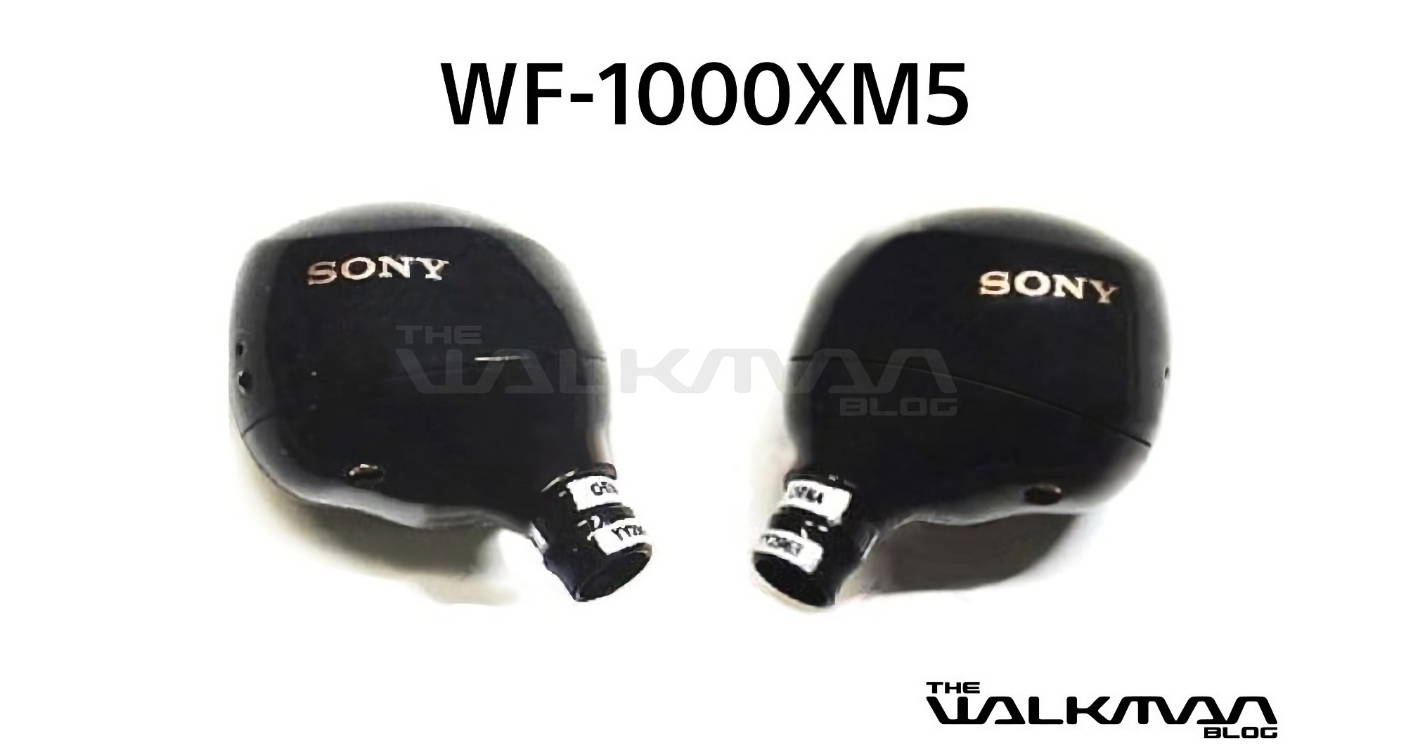 Han aparecido en Internet imágenes de los Sony WF-1000XM5: los nuevos auriculares TWS insignia de la compañía. Han aparecido en Internet imágenes de los Sony WF-1000XM5: los nuevos auriculares TWS insignia de la compañía.
