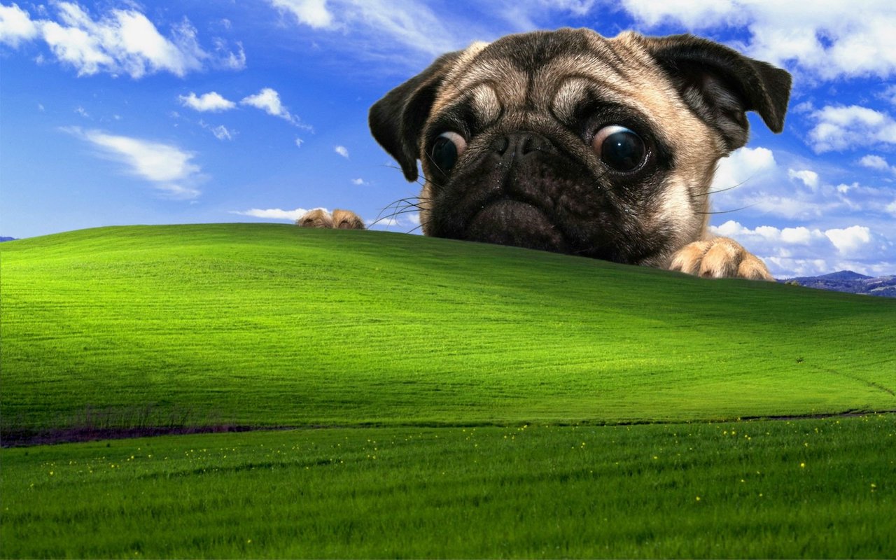 Windows XP sigue siendo el más popular en un país