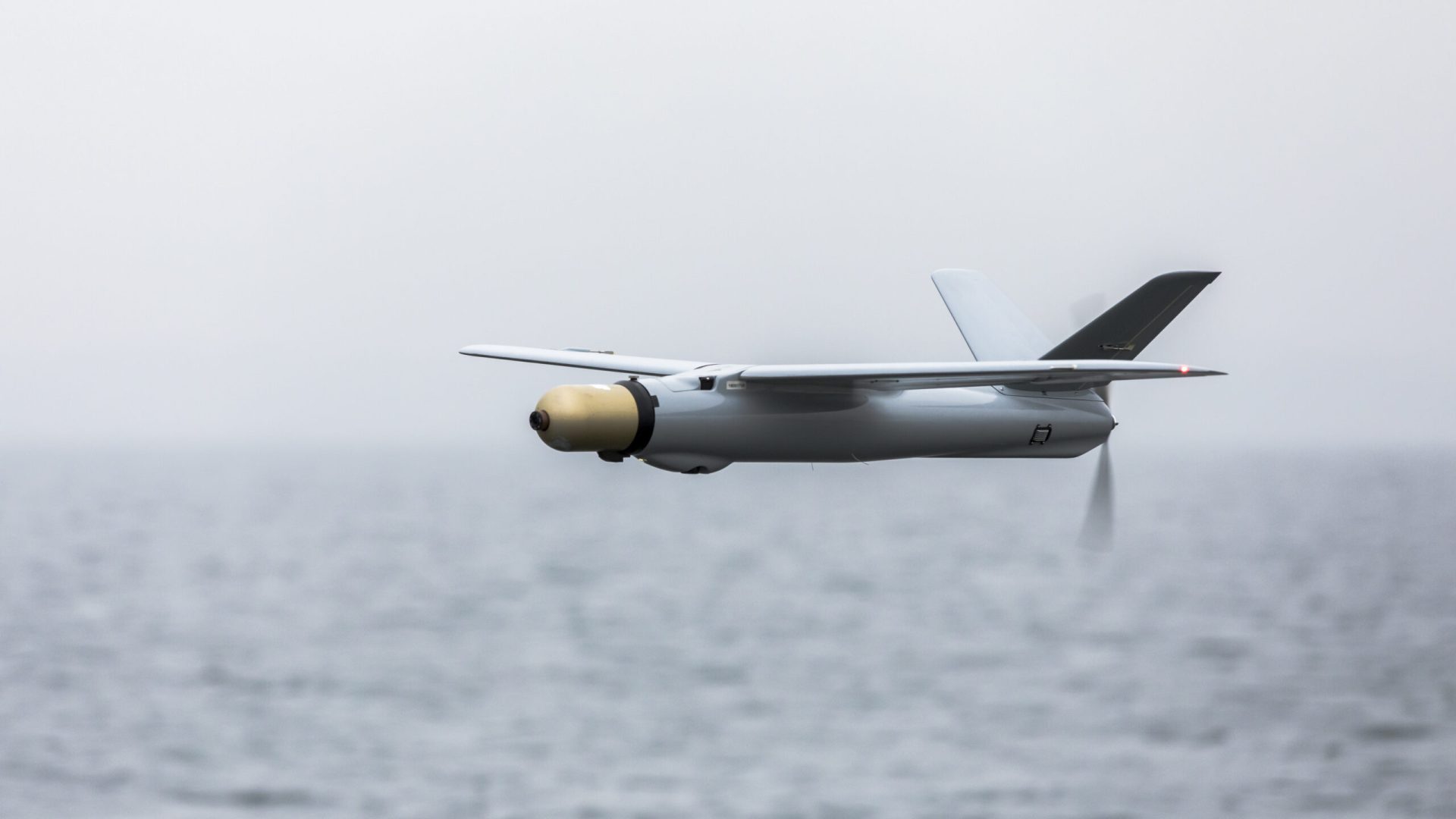 Los drones kamikaze de Warmate destruyen los cañones antiaéreos rusos y el sistema de misiles Grad (vídeo) Los drones kamikaze de Warmate destruyen los cañones antiaéreos rusos y el sistema de misiles Grad (vídeo)