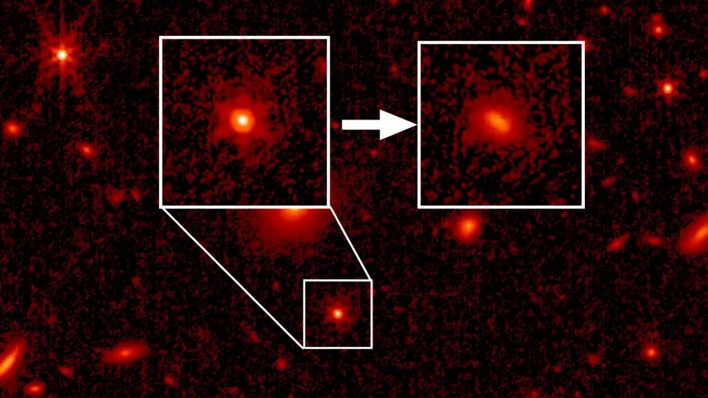 James Webb miró hacia atrás casi 13.000 millones de años y vio la luz de las primeras estrellas del universo James Webb miró hacia atrás casi 13.000 millones de años y vio la luz de las primeras estrellas del universo