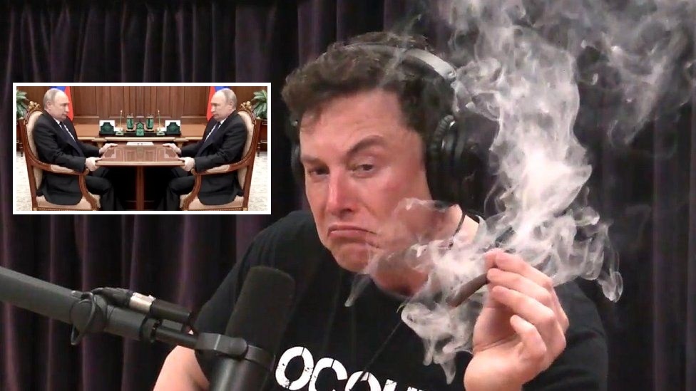 Musk se comunicó con Putin antes de la publicación del "plan de paz" para Ucrania - Vice Musk se comunicó con Putin antes de la publicación del "plan de paz" para Ucrania - Vice