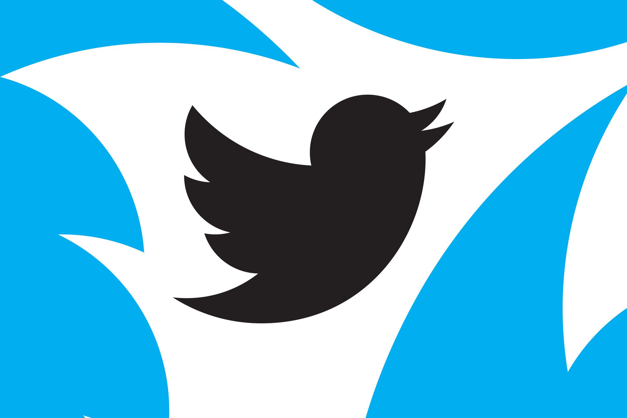 Musk pagó las suscripciones a Twitter Blue de LeBron James, Stephen King y William Shatner Musk pagó las suscripciones a Twitter Blue de LeBron James, Stephen King y William Shatner