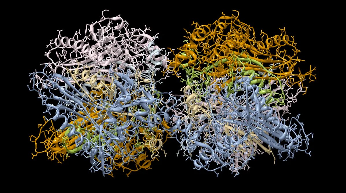 La inteligencia artificial DeepMind ha creado una base de datos con las estructuras 3D de casi todas las proteínas conocidas por la ciencia La inteligencia artificial DeepMind ha creado una base de datos con las estructuras 3D de casi todas las proteínas conocidas por la ciencia