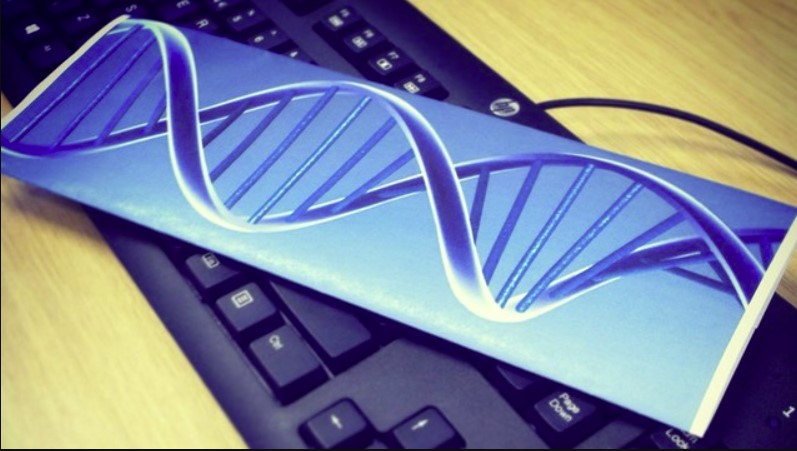 Una máquina de escribir de ADN transforma frases enteras en células vivas Una máquina de escribir de ADN transforma frases enteras en células vivas