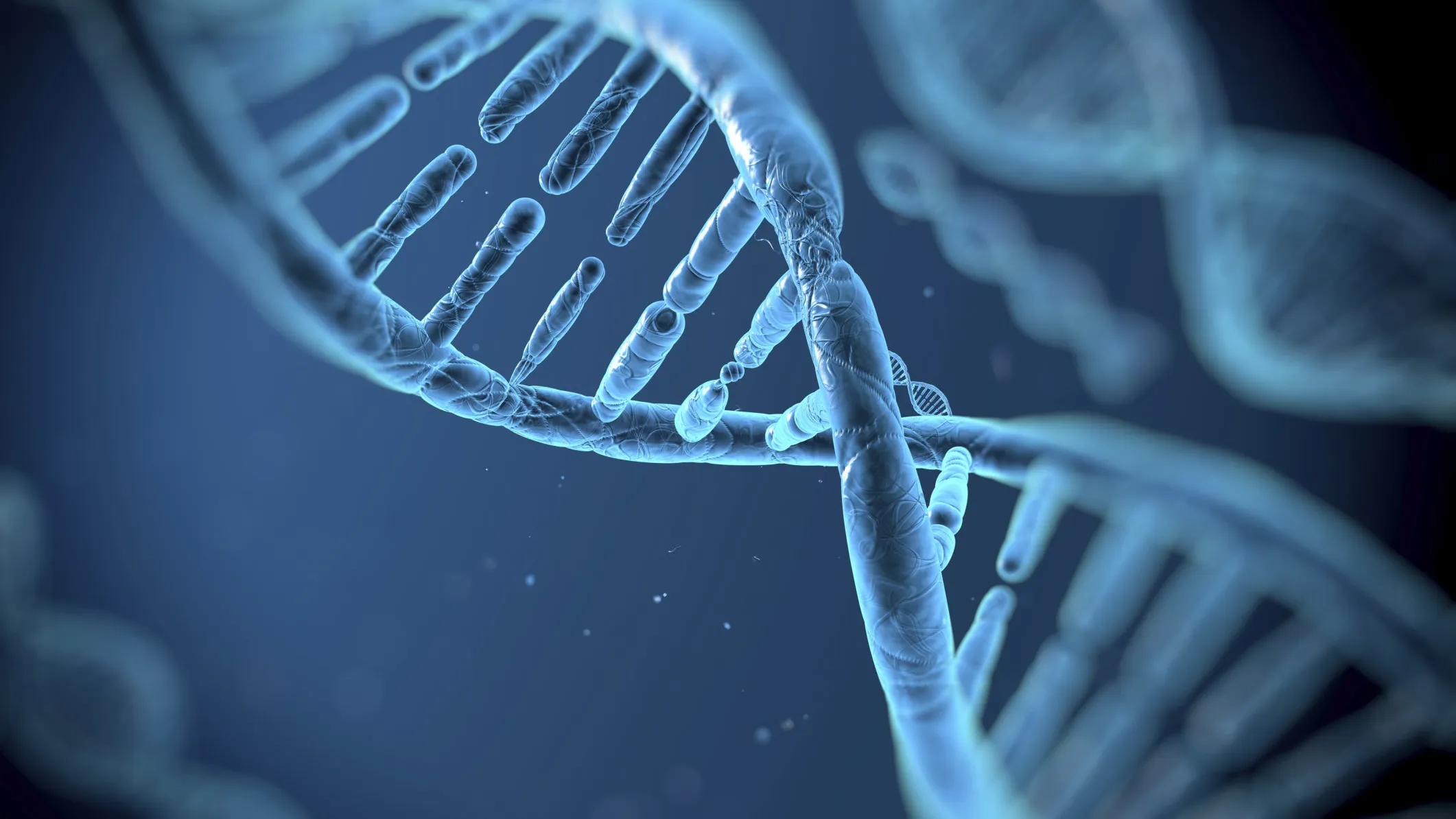Biometry anuncia una tarjeta de memoria de 1 KB y 1.000 dólares que almacena datos en el ADN hasta 150 años Biometry anuncia una tarjeta de memoria de 1 KB y 1.000 dólares que almacena datos en el ADN hasta 150 años