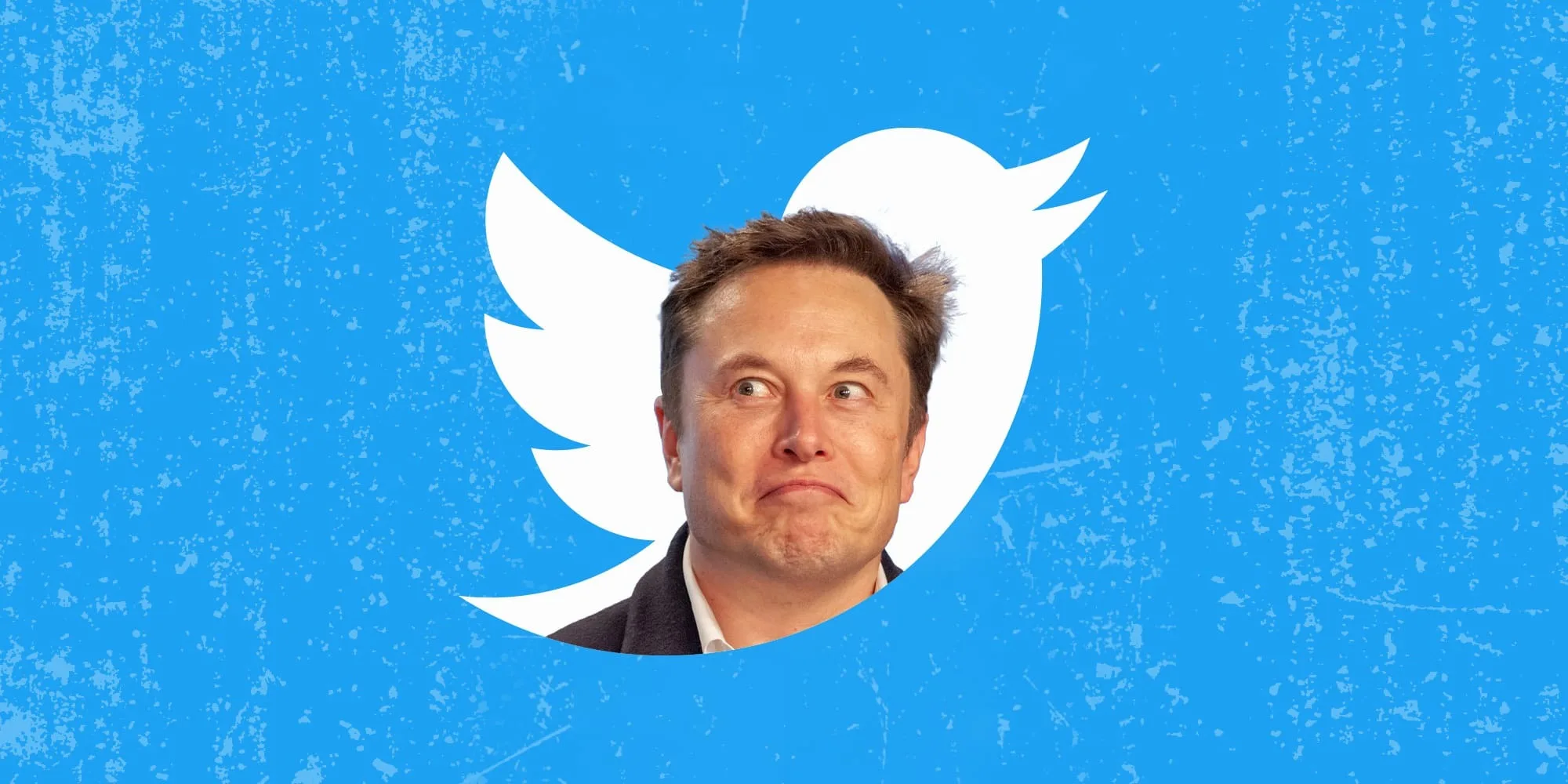 Elon Musk subirá el precio de la suscripción a Twitter Blue a 11 dólares en iOS - para el resto el precio será de 7 dólares Elon Musk subirá el precio de la suscripción a Twitter Blue a 11 dólares en iOS - para el resto el precio será de 7 dólares