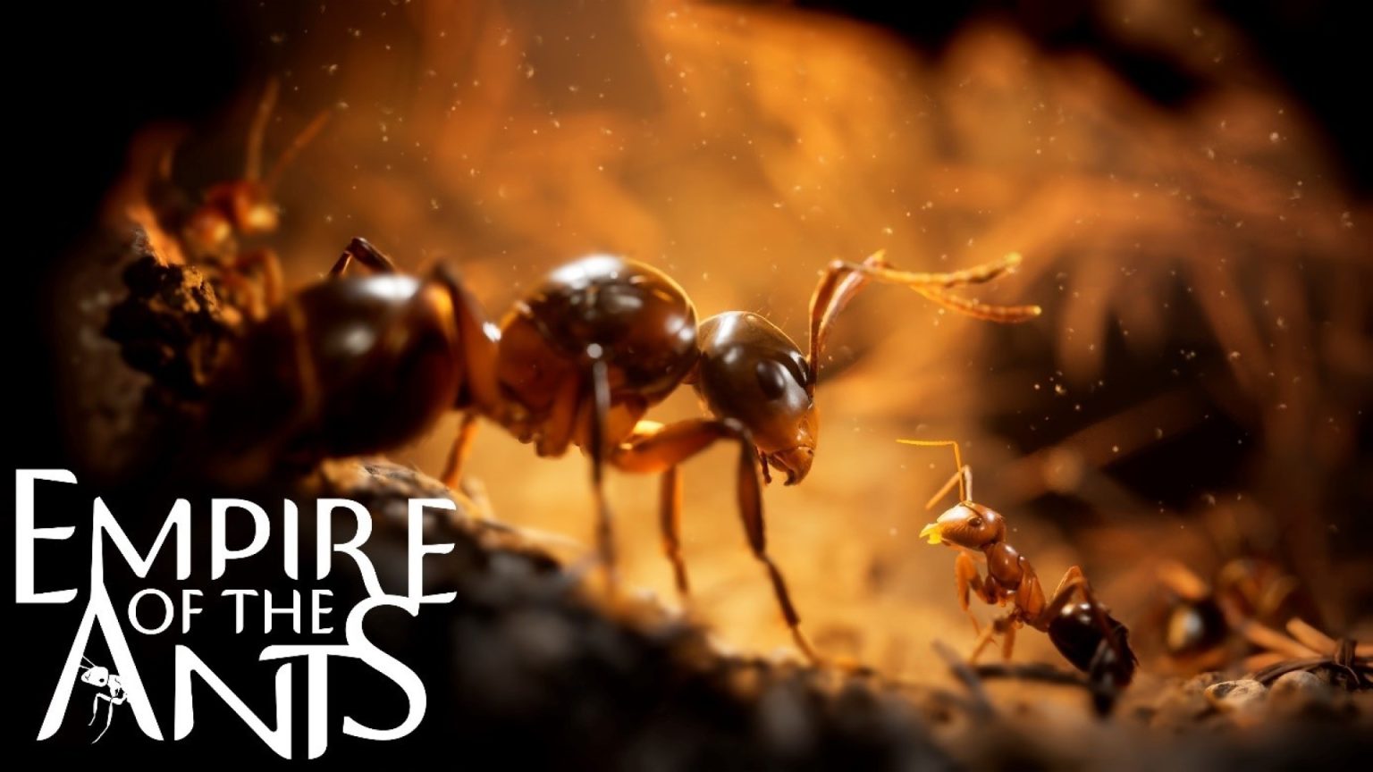 Empire of the Ants podría llegar a Switch 2: "es sobre todo una cuestión de fidelidad visual" Empire of the Ants podría llegar a Switch 2: "es sobre todo una cuestión de fidelidad visual"