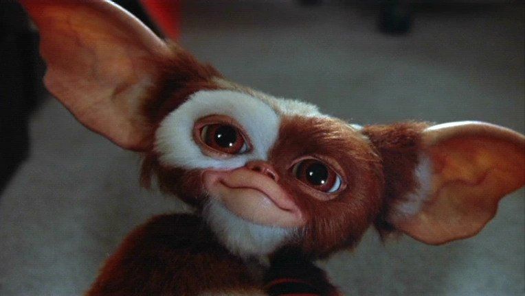 Gizmo de "Gremlins" se incorporará a MultiVersus el 8 de septiembre Gizmo de "Gremlins" se incorporará a MultiVersus el 8 de septiembre