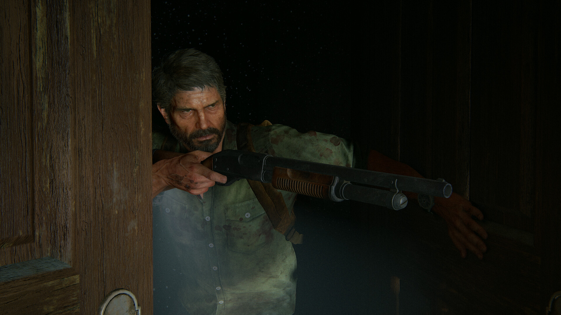 Imágenes increíbles: capturas de pantalla de The Last of Us 2