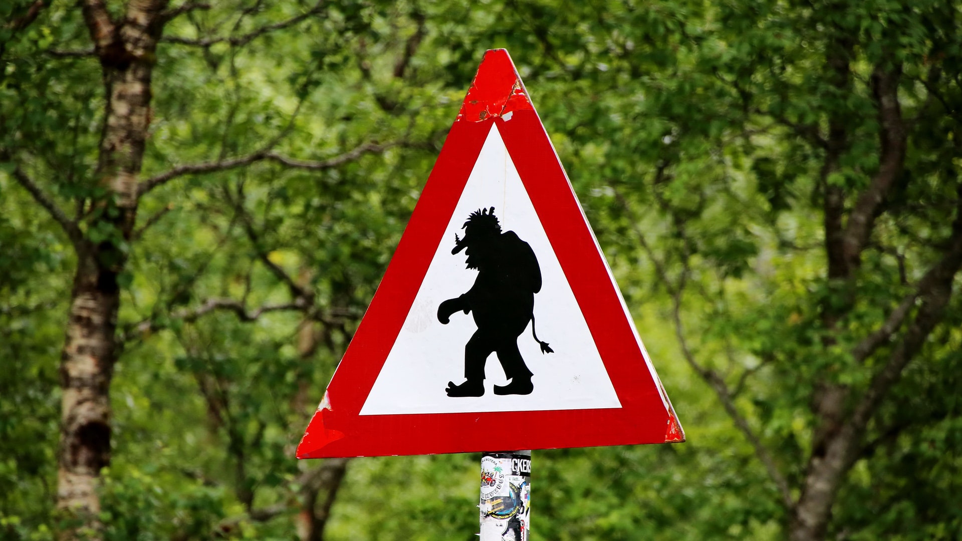 Se calculará la IP: la ley australiana obligará a los gigantes de TI a revelar datos personales de los trolls de Internet Se calculará la IP: la ley australiana obligará a los gigantes de TI a revelar datos personales de los trolls de Internet