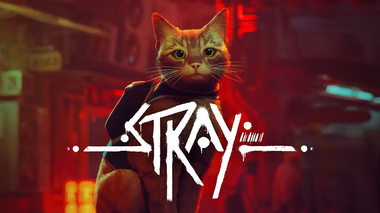 Stray estará disponible en Xbox el 10 de agosto Stray estará disponible en Xbox el 10 de agosto