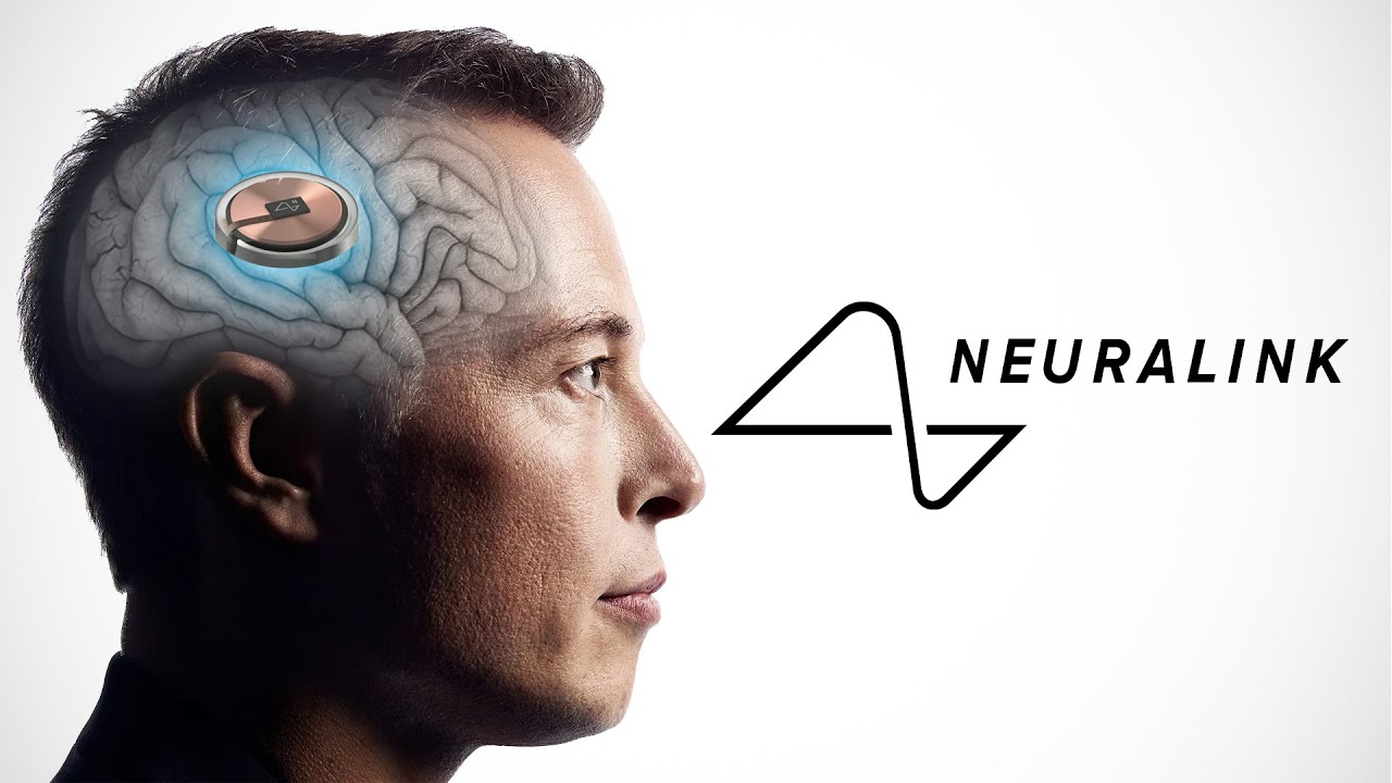 Ni un solo mono muerto: Musk afirma que los implantes cerebrales Neuralink son seguros
