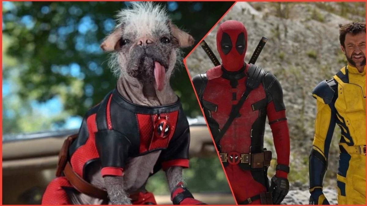 Let the Dogs Go: Ryan Reynolds anuncia el estreno en verano de Deadpool 3 y presenta al nuevo héroe peludo Dogpool Let the Dogs Go: Ryan Reynolds anuncia el estreno en verano de Deadpool 3 y presenta al nuevo héroe peludo Dogpool
