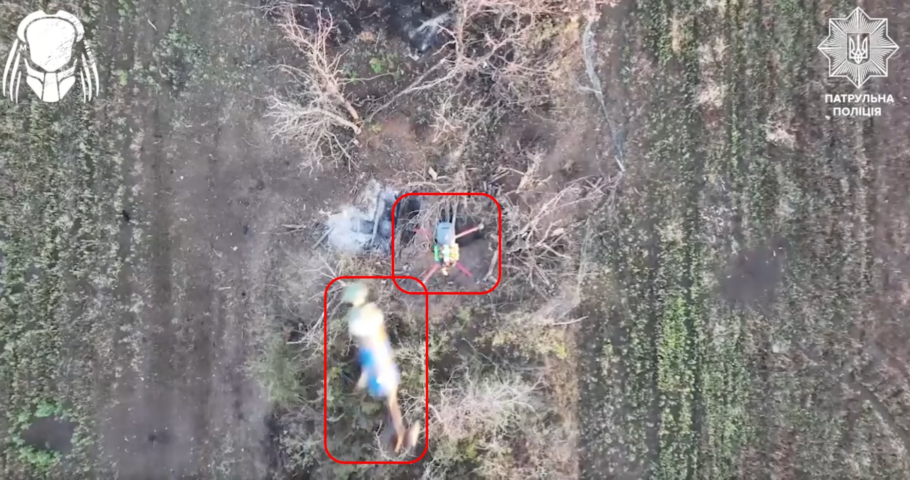 El dron "Predator" de la Policía Nacional destruye un cuadcóptero bombardeador con una caída desde arriba (video) El dron "Predator" de la Policía Nacional destruye un cuadcóptero bombardeador con una caída desde arriba (video)
