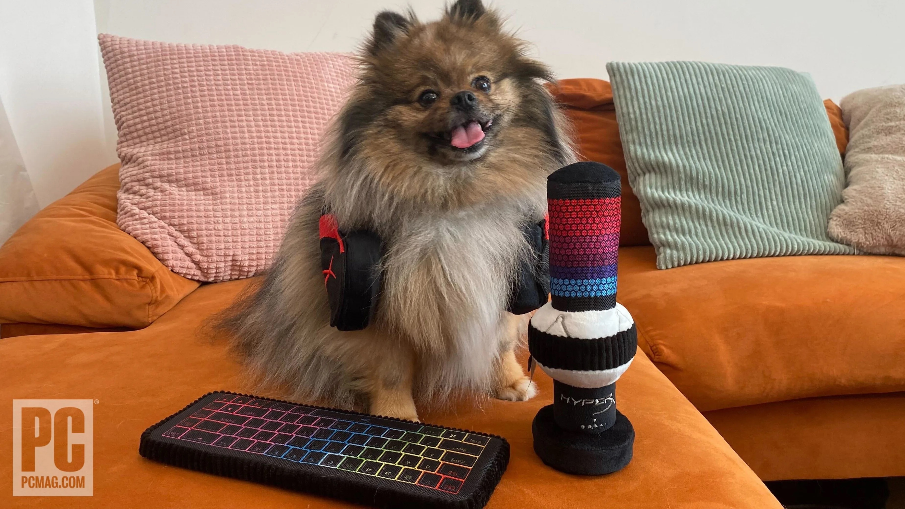 HyperX presenta accesorios de juego... para mascotas HyperX presenta accesorios de juego... para mascotas