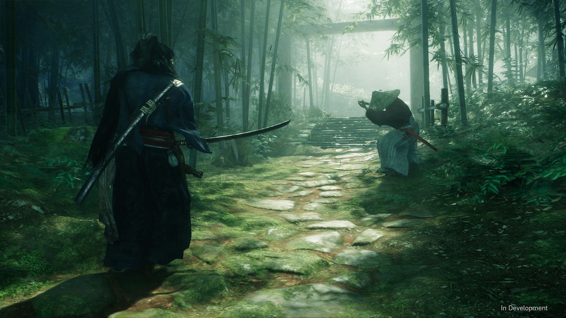 Rise of the Ronin permitirá jugar en línea hasta a cuatro jugadores. Rise of the Ronin permitirá jugar en línea hasta a cuatro jugadores.