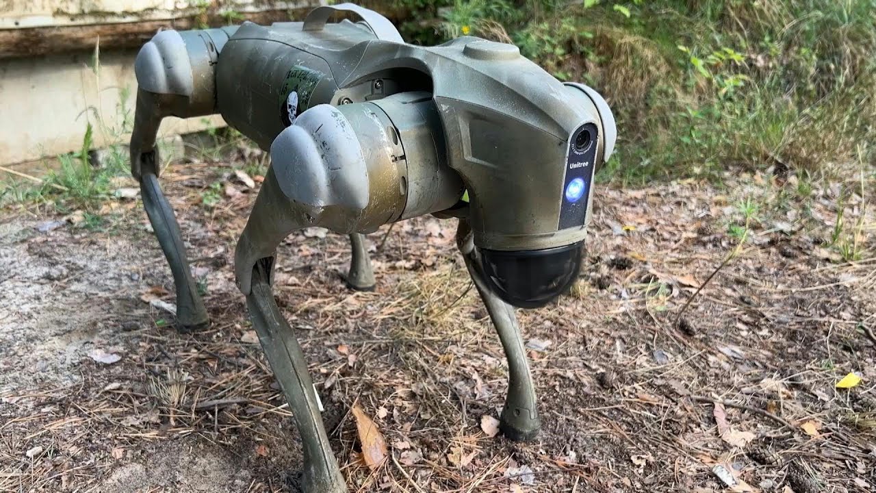 Militares ucranianos montan un "perro robot" en un multicóptero pesado Militares ucranianos montan un "perro robot" en un multicóptero pesado