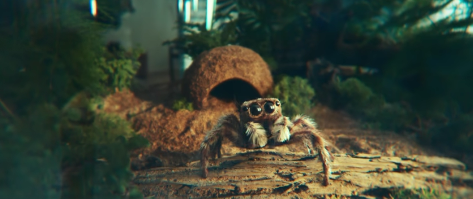 La araña se enamoró del Galaxy S22 Ultra – Samsung publicó un divertido anuncio de novedades La araña se enamoró del Galaxy S22 Ultra – Samsung publicó un divertido anuncio de novedades