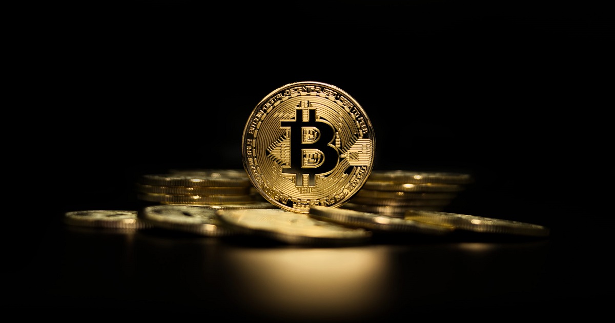 Durante el año, el número de monederos de Bitcoin con un saldo de 1 millón de dólares o más se quintuplicó Durante el año, el número de monederos de Bitcoin con un saldo de 1 millón de dólares o más se quintuplicó