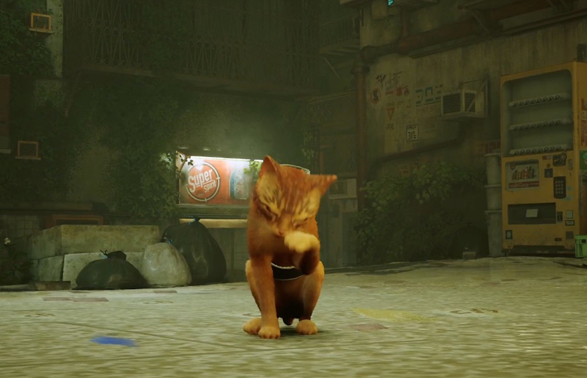 Ahora el gato de Stray no solo puede "maullar" sino también gritar "¡JASON!" Ahora el gato de Stray no solo puede "maullar" sino también gritar "¡JASON!"