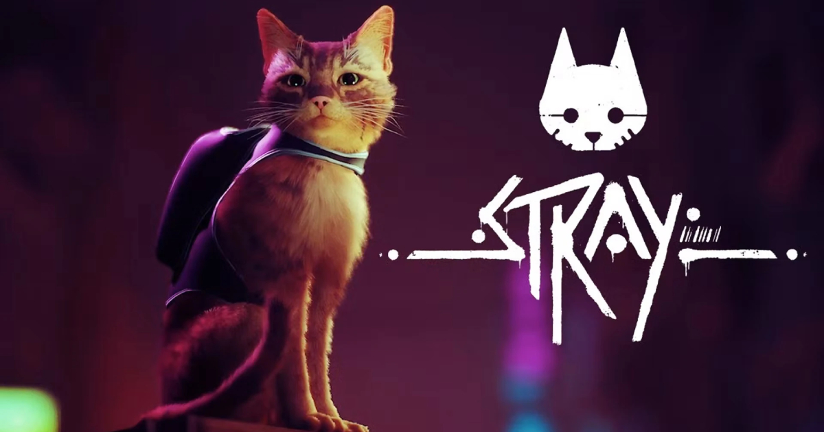 Ciberpunk con gato: el éxito indie Stray tiene un 35% de descuento en Steam hasta el 3 de junio Ciberpunk con gato: el éxito indie Stray tiene un 35% de descuento en Steam hasta el 3 de junio
