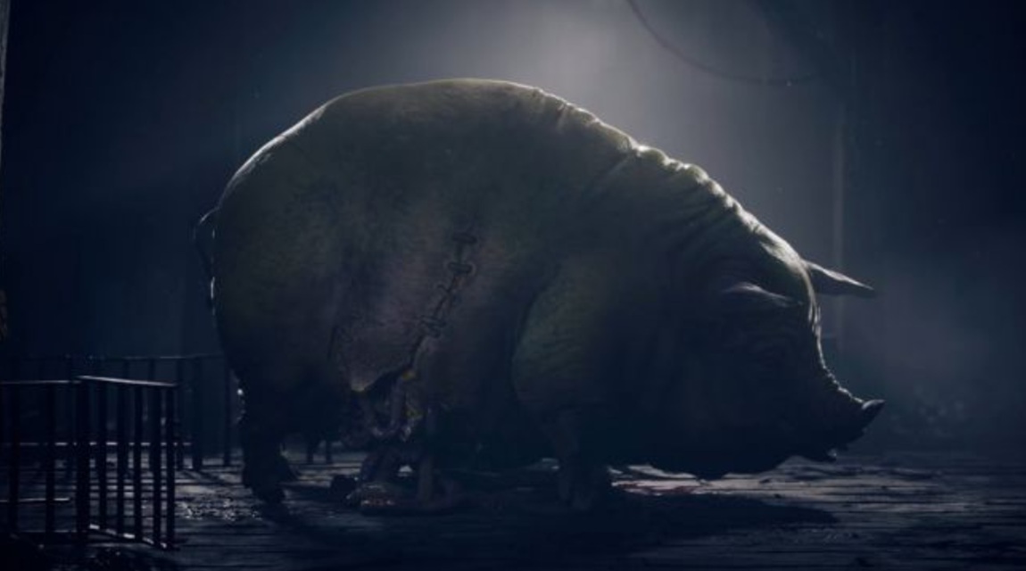 Del Laboratorio a la Galería: Experimentos revolucionarios de Reanimal Bioimpresión y Arte: Cómo Reanimal da vida al arte