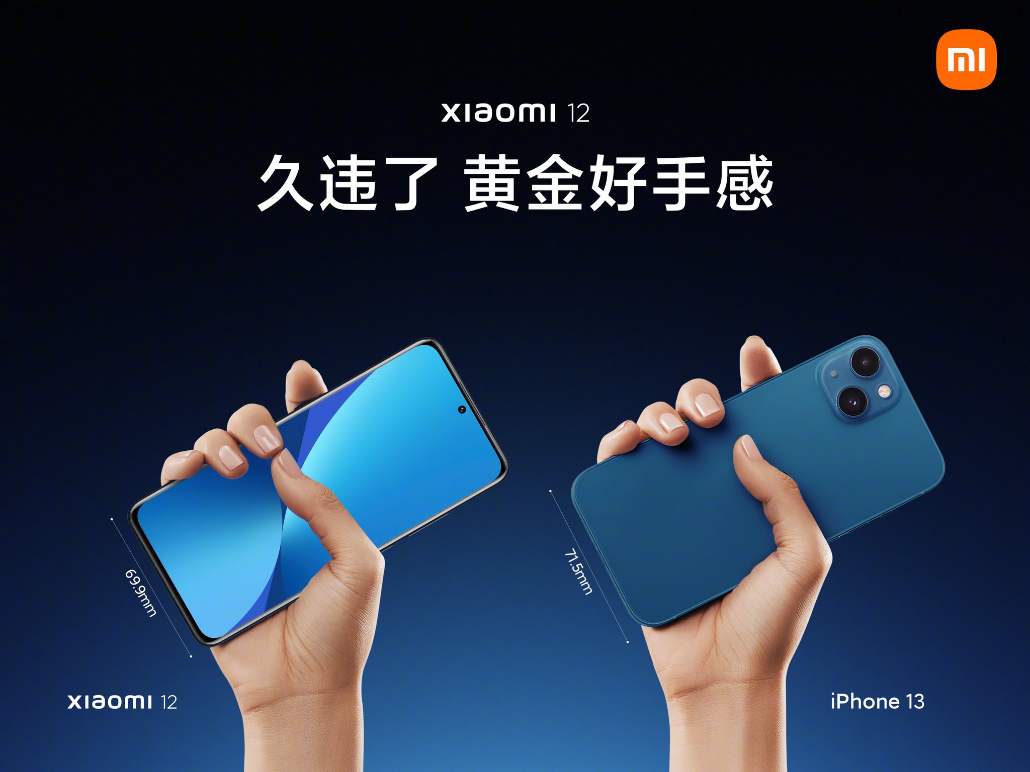 Un paso atrás: Xiaomi 12 obtendrá una pantalla Full HD + en lugar de WQHD + Un paso atrás: Xiaomi 12 obtendrá una pantalla Full HD + en lugar de WQHD +