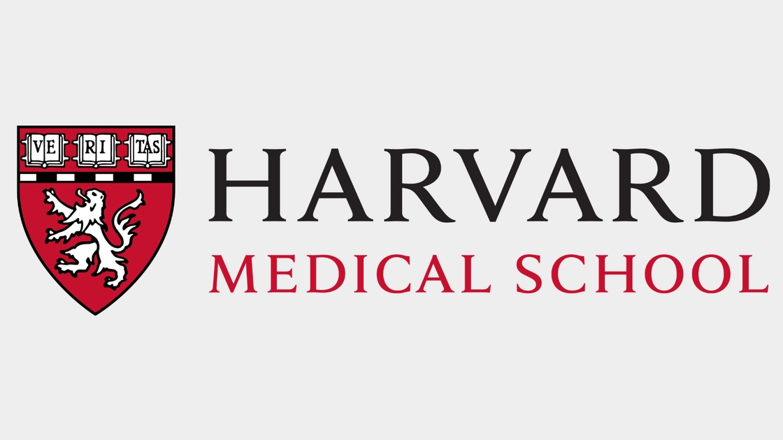 La IA diagnostica mejor que los médicos en urgencias, según un estudio de Harvard