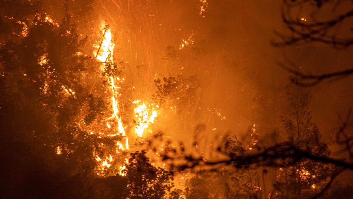 Los incendios forestales están alimentando un circuito de retroalimentación peligroso del calentamiento del Ártico Los incendios forestales están alimentando un circuito de retroalimentación peligroso del calentamiento del Ártico