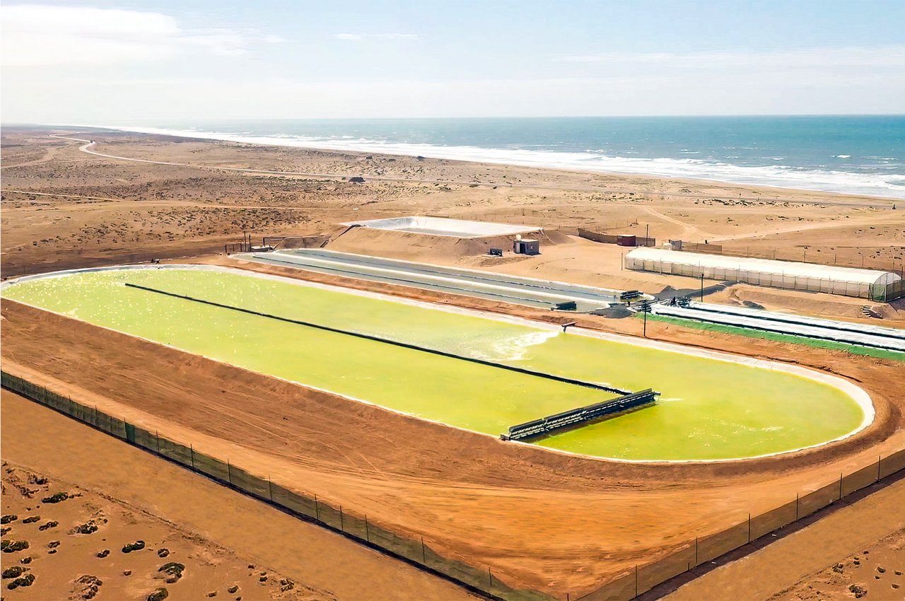 El estanque de crecimiento de algas más grande del mundo utiliza tecnología basada en la naturaleza para capturar las emisiones de CO2 El estanque de crecimiento de algas más grande del mundo utiliza tecnología basada en la naturaleza para capturar las emisiones de CO2
