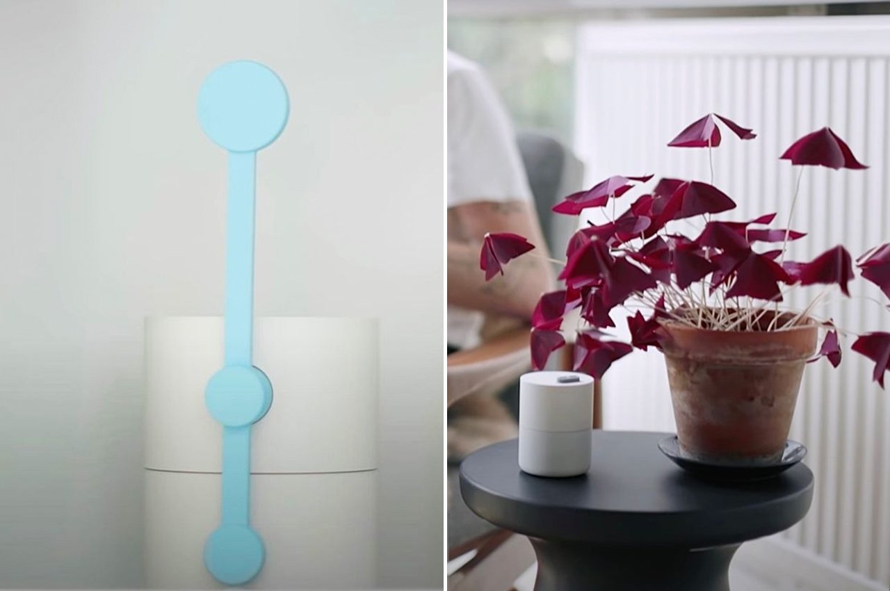Los dispositivos Little Signals de Google enviarán notificaciones de manera sutil utilizando nuestras plantas Los dispositivos Little Signals de Google enviarán notificaciones de manera sutil utilizando nuestras plantas
