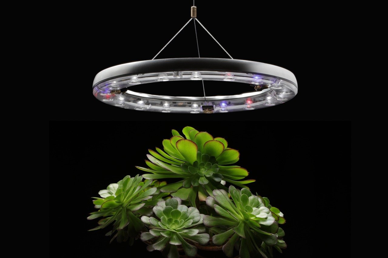 Este sistema hortícola de luz + riego cuida 360 grados de sus plantas de interior Este sistema hortícola de luz + riego cuida 360 grados de sus plantas de interior
