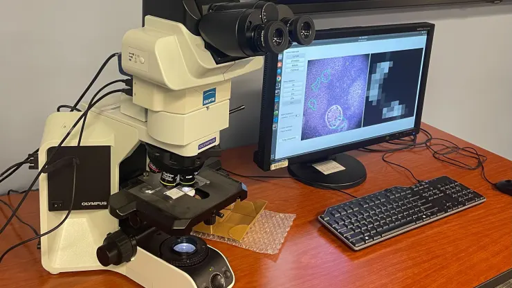 Google y el Pentágono han desarrollado un microscopio basado en inteligencia artificial para el diagnóstico del cáncer-2 Google y el Pentágono han desarrollado un microscopio basado en inteligencia artificial para el diagnóstico del cáncer-2