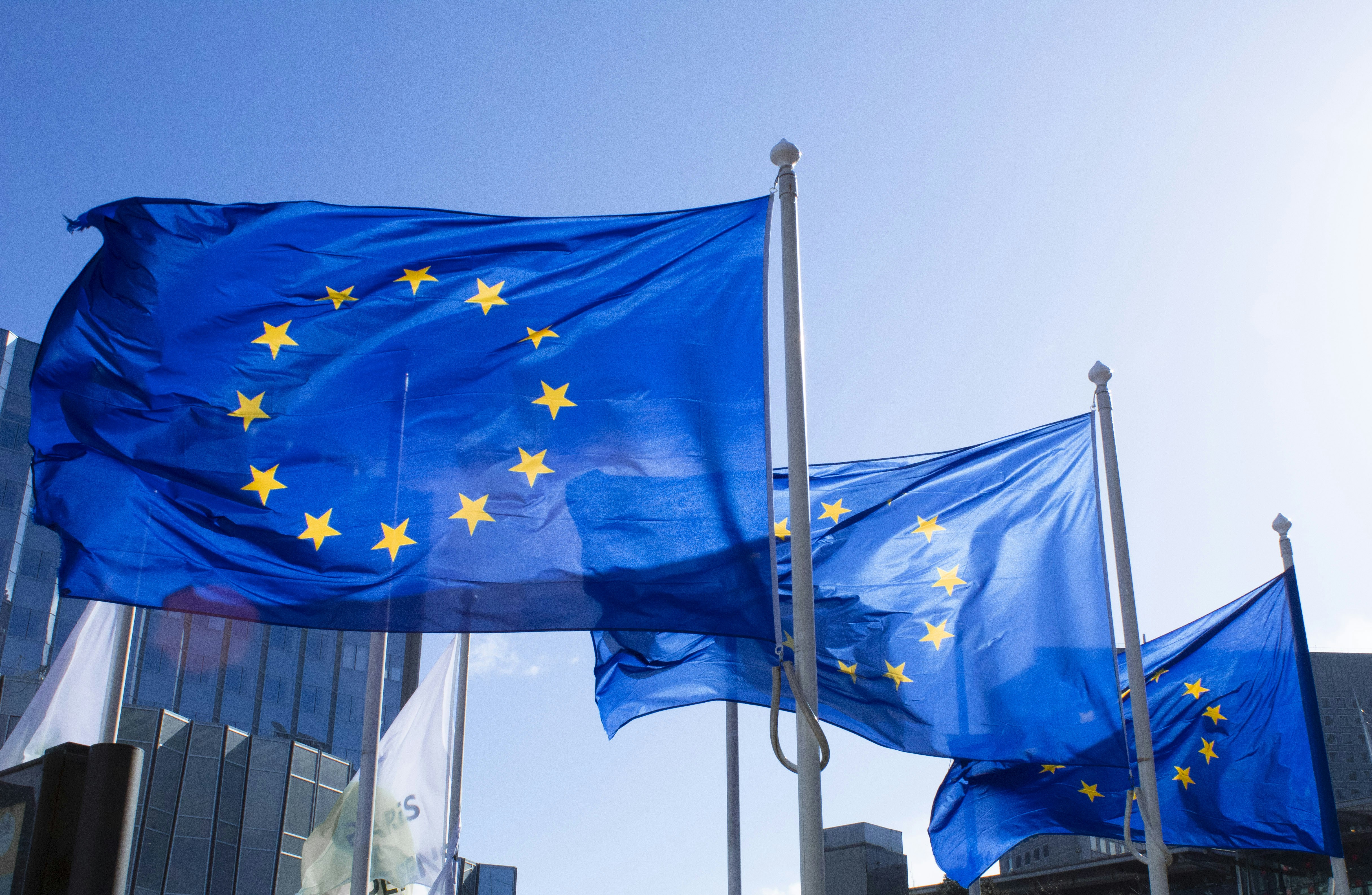 Los gigantes tecnológicos deben etiquetar los contenidos generados por inteligencia artificial antes de las elecciones europeas Los gigantes tecnológicos deben etiquetar los contenidos generados por inteligencia artificial antes de las elecciones europeas