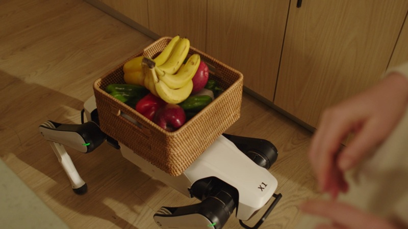 Rover X1 en la calle