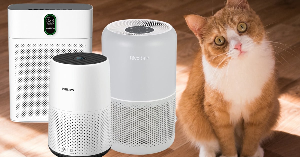 mejores purificadores de aire para dueños de gatos mejores purificadores de aire para dueños de gatos